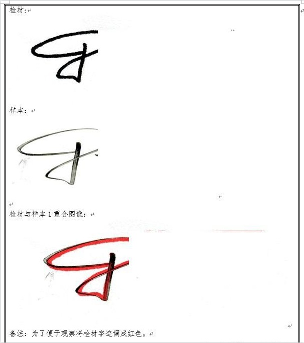 同源性鉴定|同一性鉴定