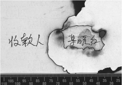 篡改文件鉴定|变造文件鉴定|污损文件鉴定